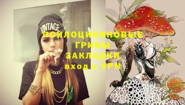гидропоника Лабытнанги